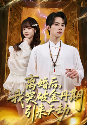 离婚后我突破金丹期引来天劫（80集）